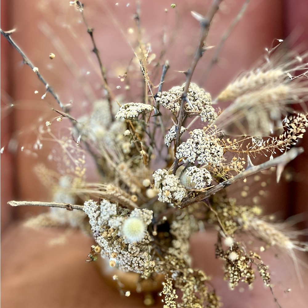 Rustic Dried Wild Thorn Branches One Dozen Primitive Decor